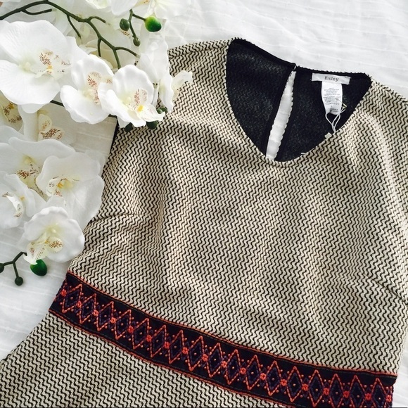 Esley Dresses & Skirts - Super cute embroidered dress (NWT)